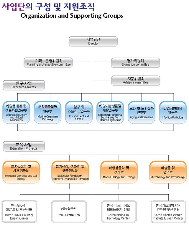 사업단의 구성 및 지원조직