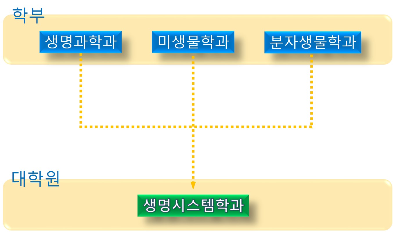 학과소개