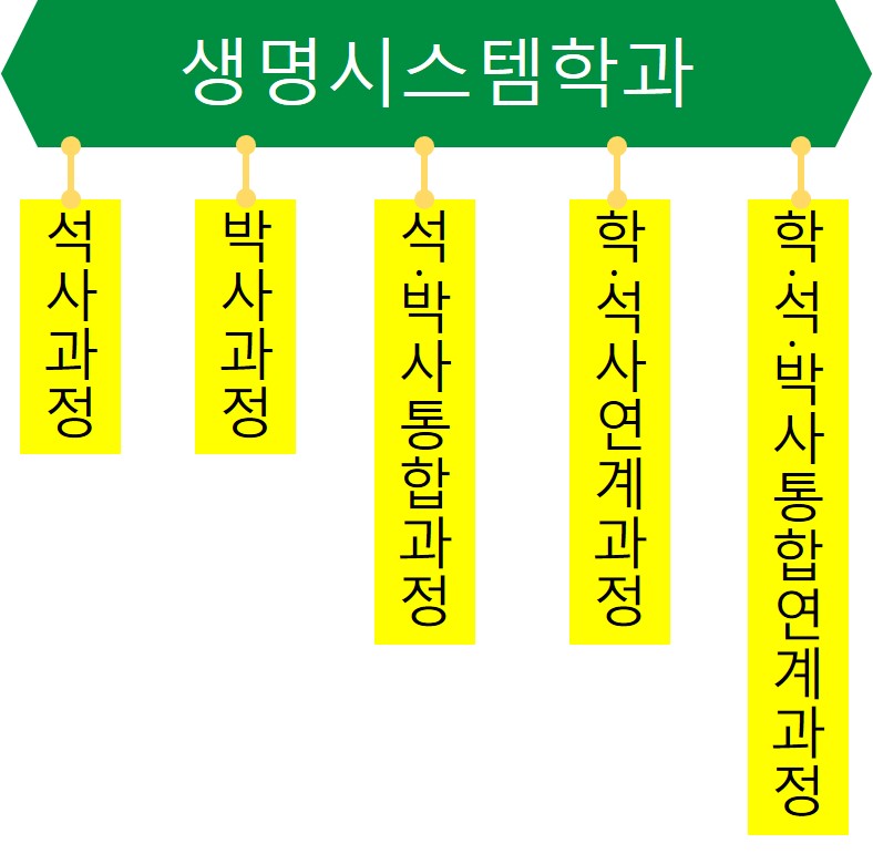 과정소개